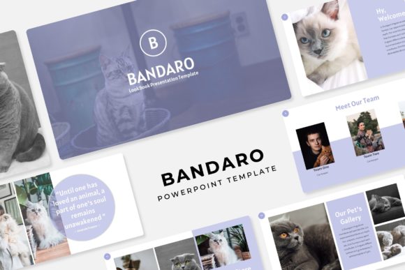 Bandaro Power Point Template: A Comprehensive Presentation Solution
