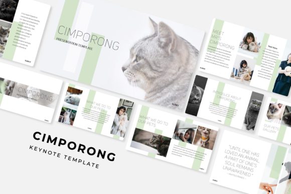 Cimporong Keynote Template: A Comprehensive Presentation Solution